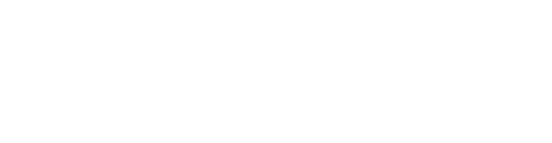 Magnia — Paid Media Advisors